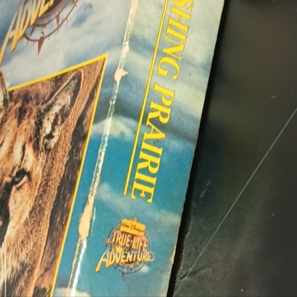 VHS Tapes - Picture 12 of 16